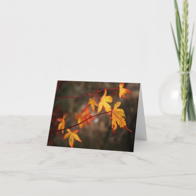 Carte de note pleurante d'automne (Devant)
