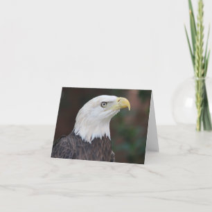 Carte de note pliée avec photo d'aigle à tête blan