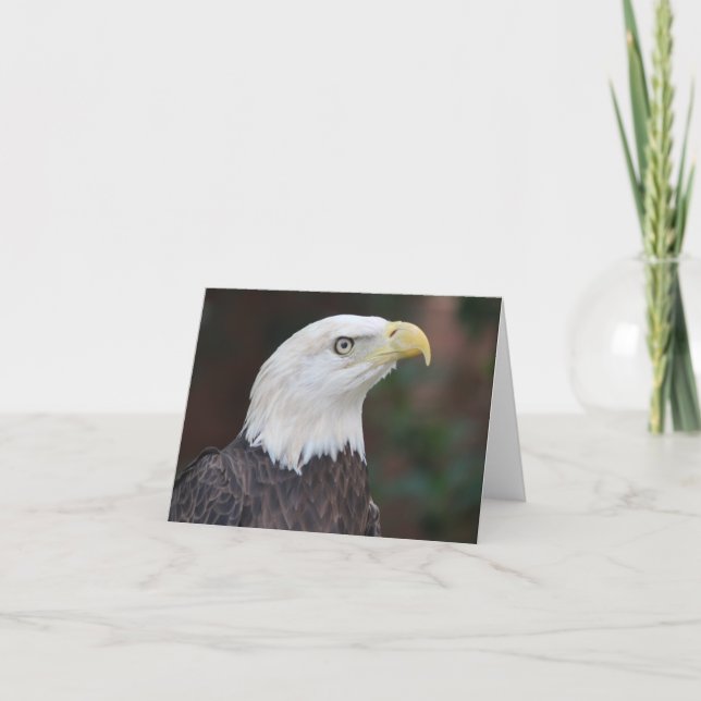 Carte de note pliée avec photo d'aigle à tête blan (Devant)
