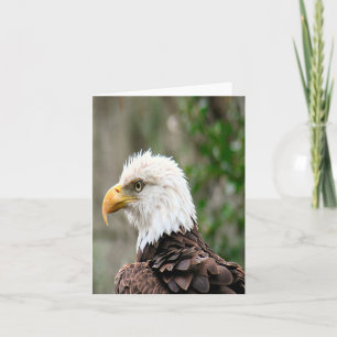 Carte de note pliée avec photo d'aigle à tête blan