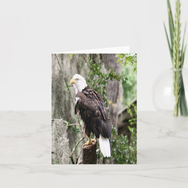 Carte de note pliée avec photo d'aigle à tête blan (Devant)