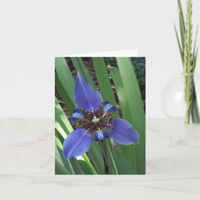 Carte de note pliée avec photo Iris violet (Devant)