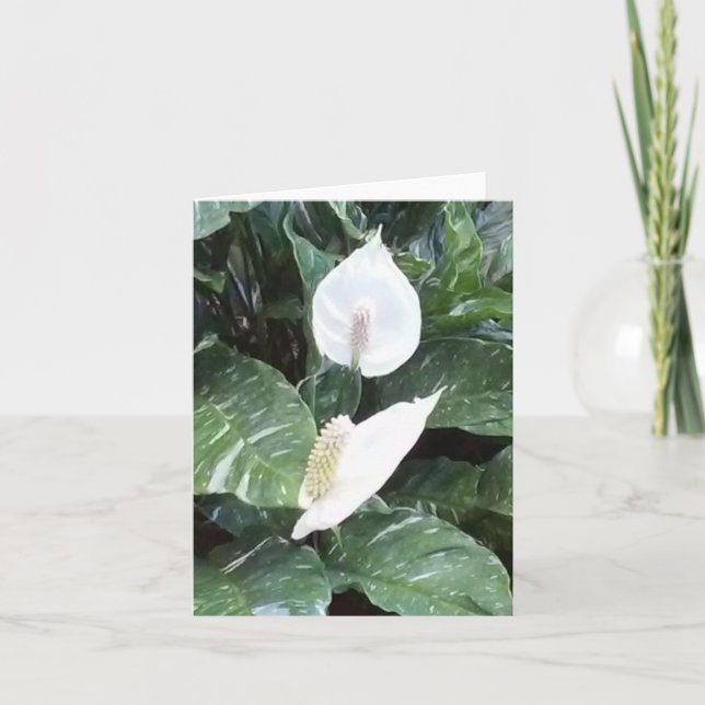 Carte de note pliée avec photo Peace Lily (Devant)