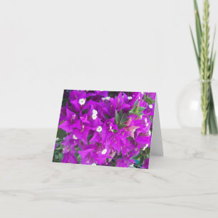 Carte de note pliée avec photo pourpre Bougainvill