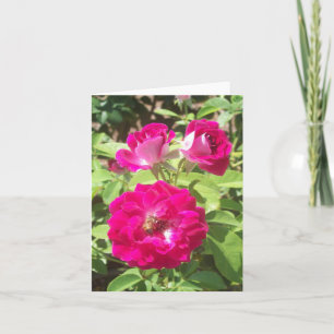 Carte de note pliée avec photo Red Roses