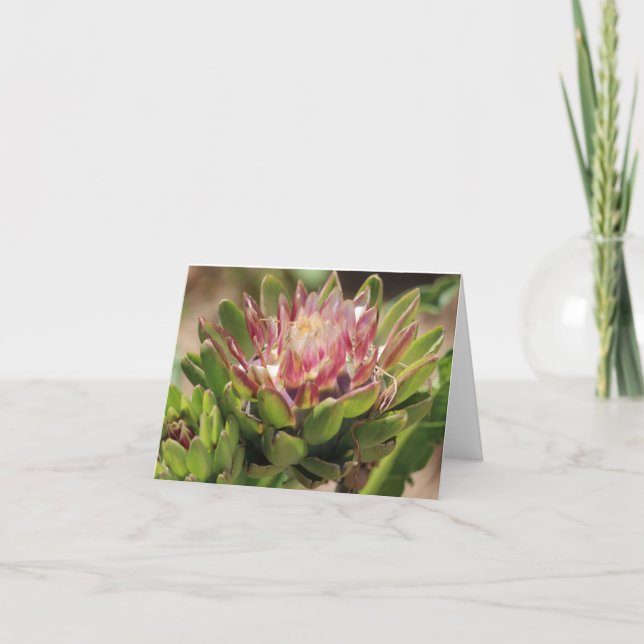 Carte de note pliée de la photo de fleur d'Articho (Devant)
