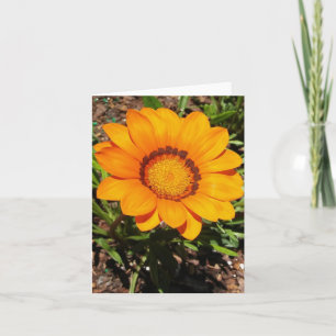 Carte de note pliée Enorma Orange Gazania Rigens