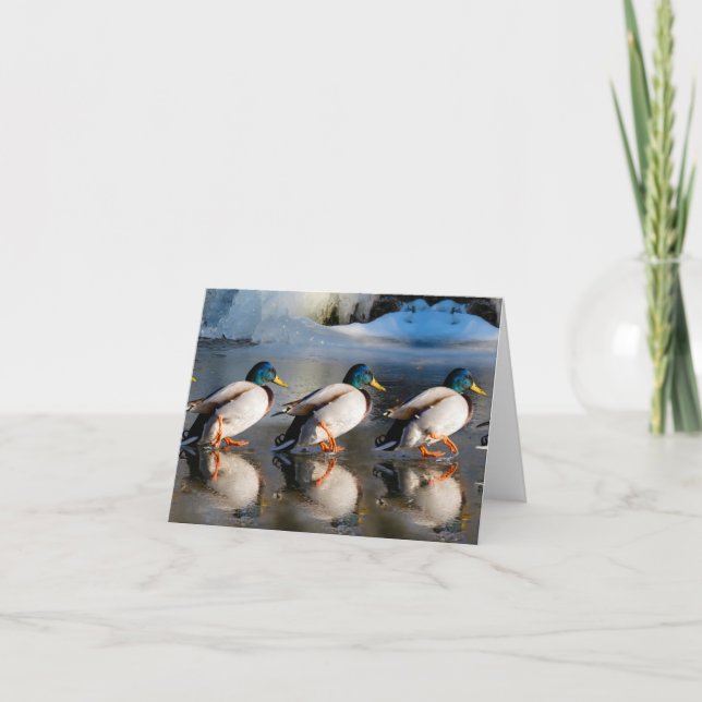 Carte de note pliée MALLARD EN HIVER (Devant)