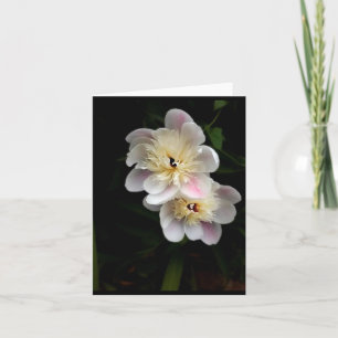 Carte de note pliée Peonies