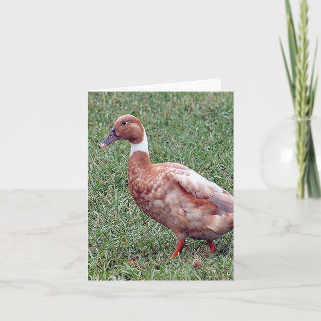Carte de note pliée photo de canard Brown (Devant)