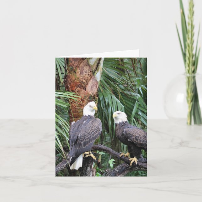 Carte de note pliée photo Eagles Bald (Devant)