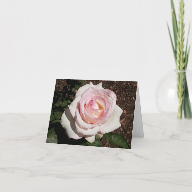 Carte de note pliée rose (Devant)