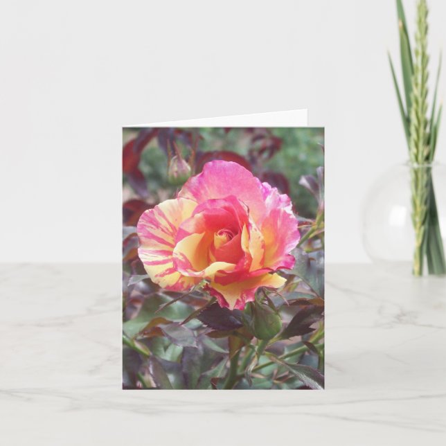 Carte de note pliée Rose à rayures roses (Devant)