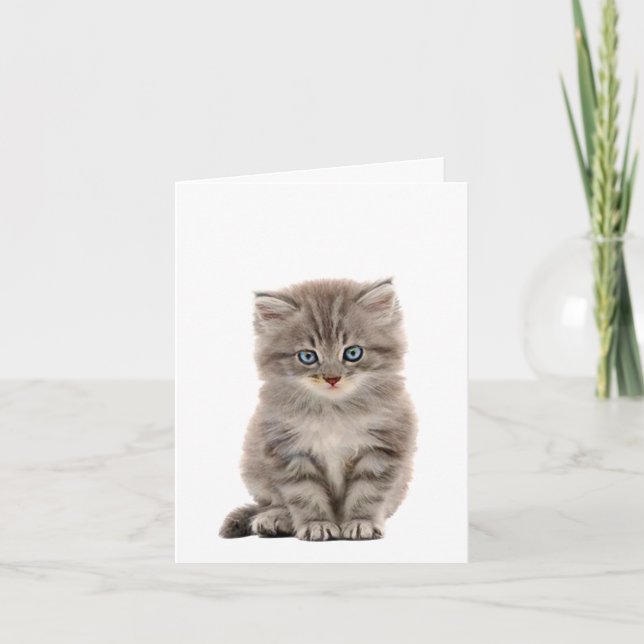Carte de note pour chaton gris (Devant)