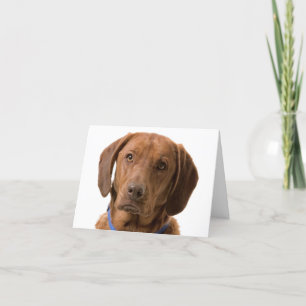 Carte de note pour chien de chien de marionnette d