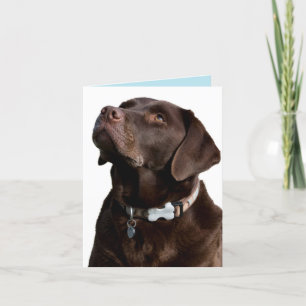 Carte de note pour chien de chien de marionnette d