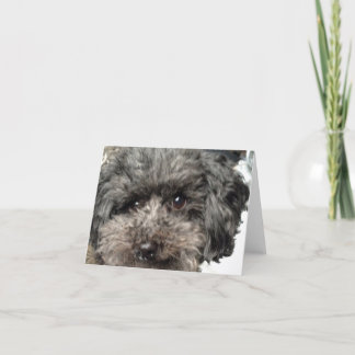 Carte de note pour chien de famille