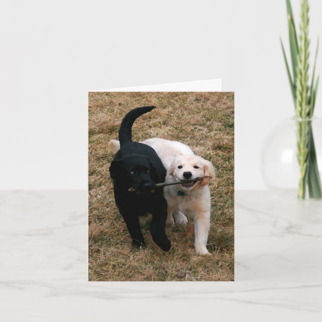 Carte de note pour chiots noirs et blancs (Devant)