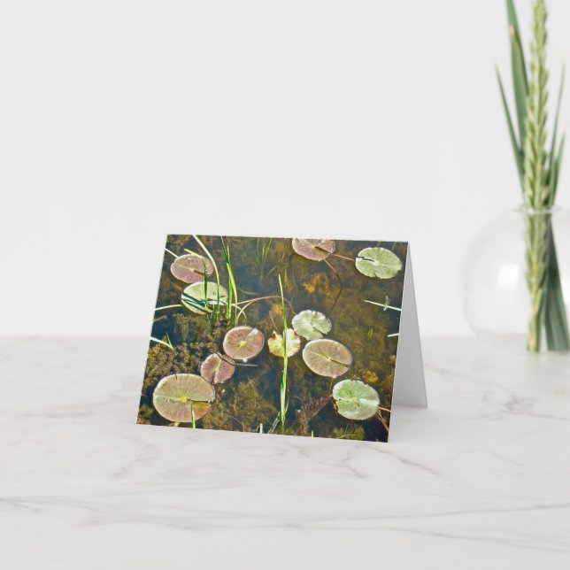 Carte de note pour les coussins Lily du printemps (Devant)