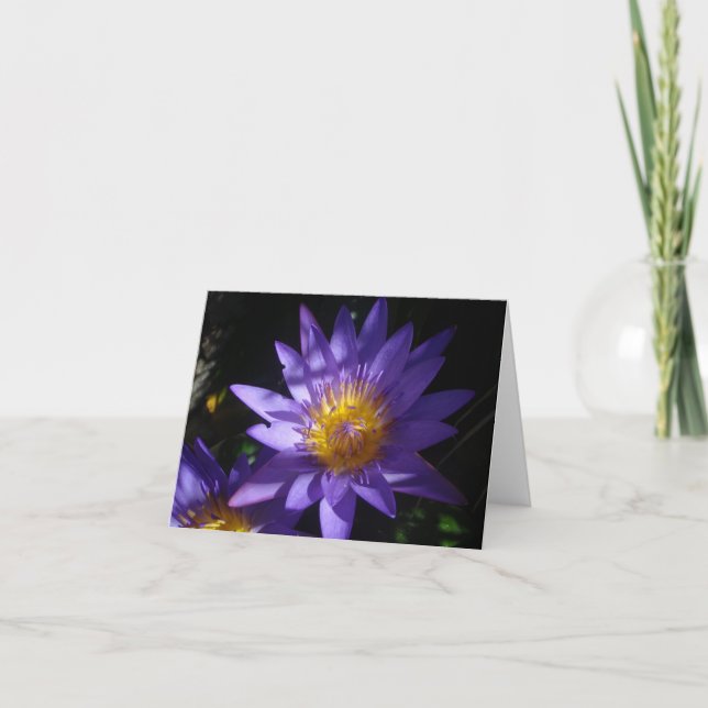Carte de note pourpre de nénuphar (Devant)