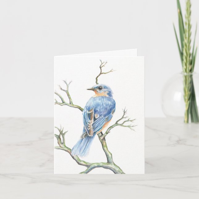 Carte de note Robin (Devant)