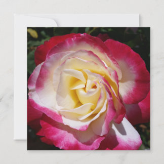 Carte de note rose
