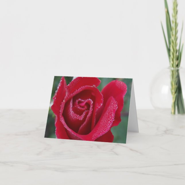 Carte de note rose couverte de rosée (Devant)