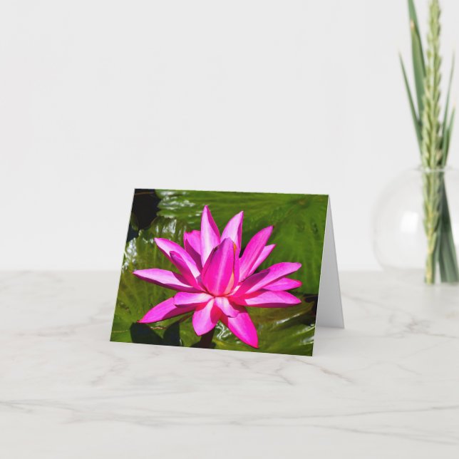 Carte de note rose de nénuphar de nénuphar (Devant)