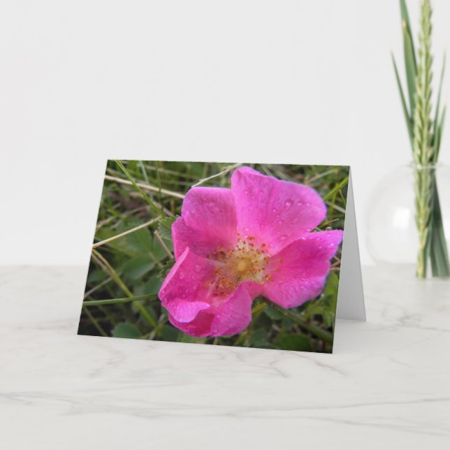 Carte de note rose de prairie (Devant)