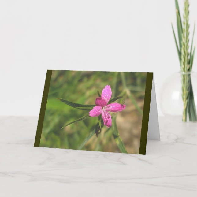 Carte de note rose Deptford (Devant)