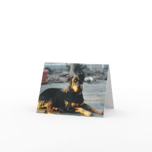 Carte de note Rottweiler - vide