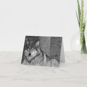 Carte de note sauvage de loup
