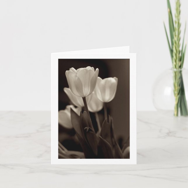 Carte de note Sepia Tulip (Devant)