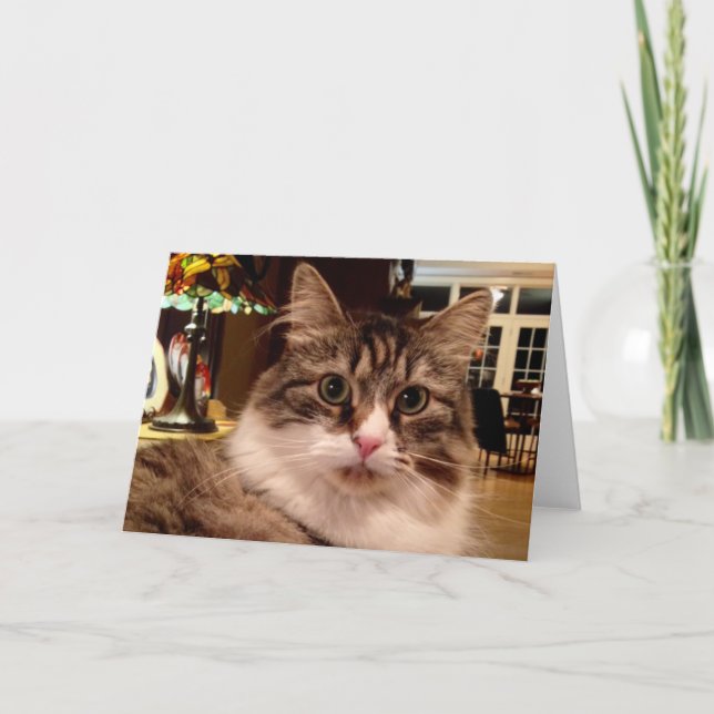Carte de note sibérienne de chat (Devant)