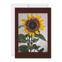 Carte de note simple Sunflowers pour manuscrit