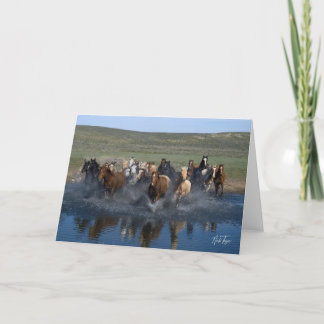 Carte de note Splash !