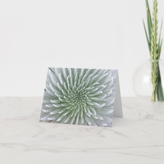 Carte de note succulente de cactus hawaïen (Devant)