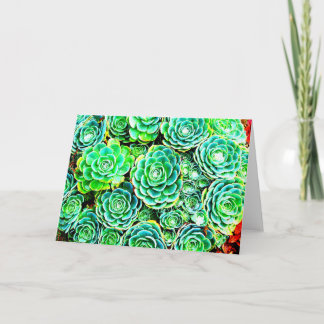 Carte de note succulente de chute