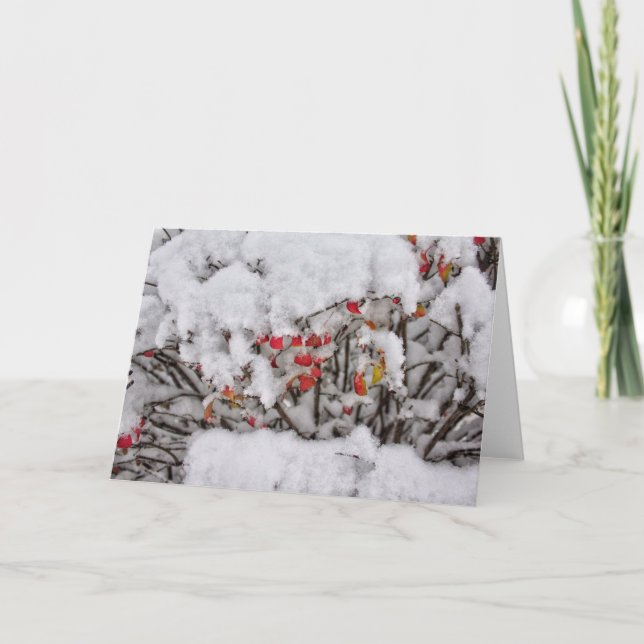 Carte de note sur la neige fraîche (Devant)