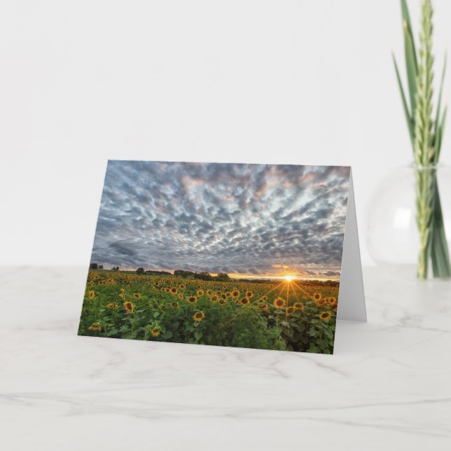 Carte de note sur le coucher de soleil de tourneso (Devant)