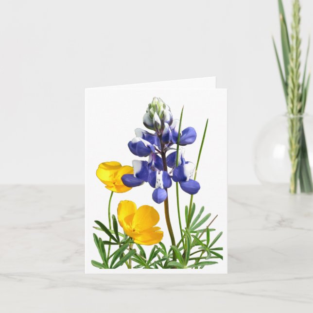 Carte de note sur les pépites de lupine (Devant)
