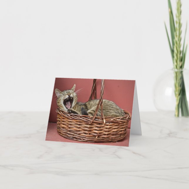 Carte de note tabby Cat (Devant)