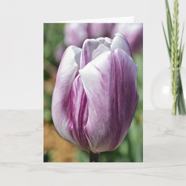 Carte de note Tulipe pourpre (Devant)