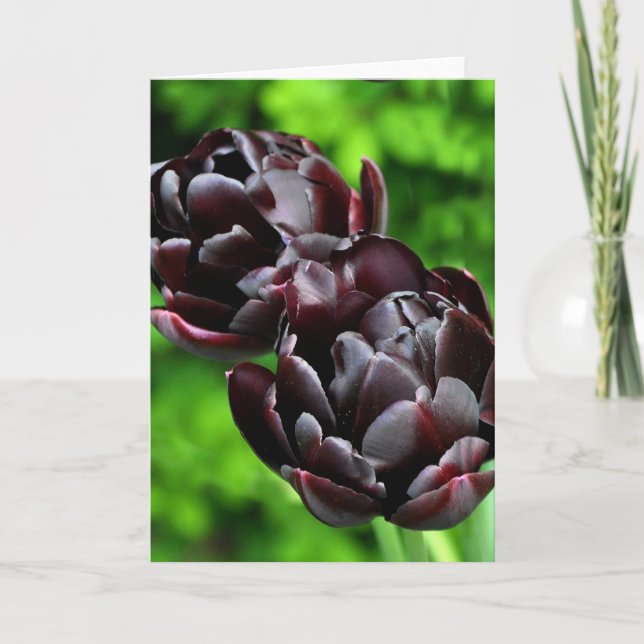 Carte de note : Tulipes (Devant)