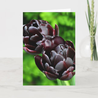 Carte de note : Tulipes
