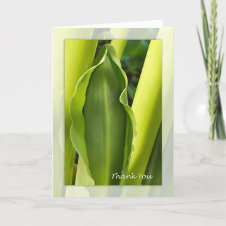 Carte de note verte de Merci de feuille