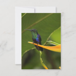 Carte de note vide