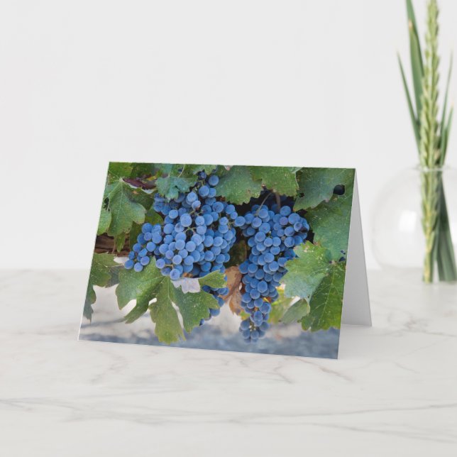 Carte de note vide de raisins (Devant)