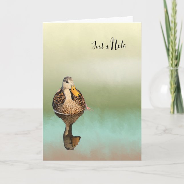 Carte de note vierge avec canard mouillé (Devant)