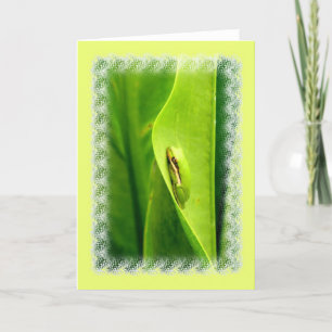 Carte de note vierge, Grenouille à arbre vert